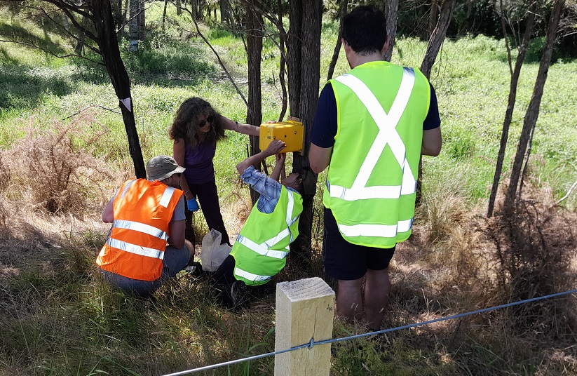 Trap Maintenance & Monotoring