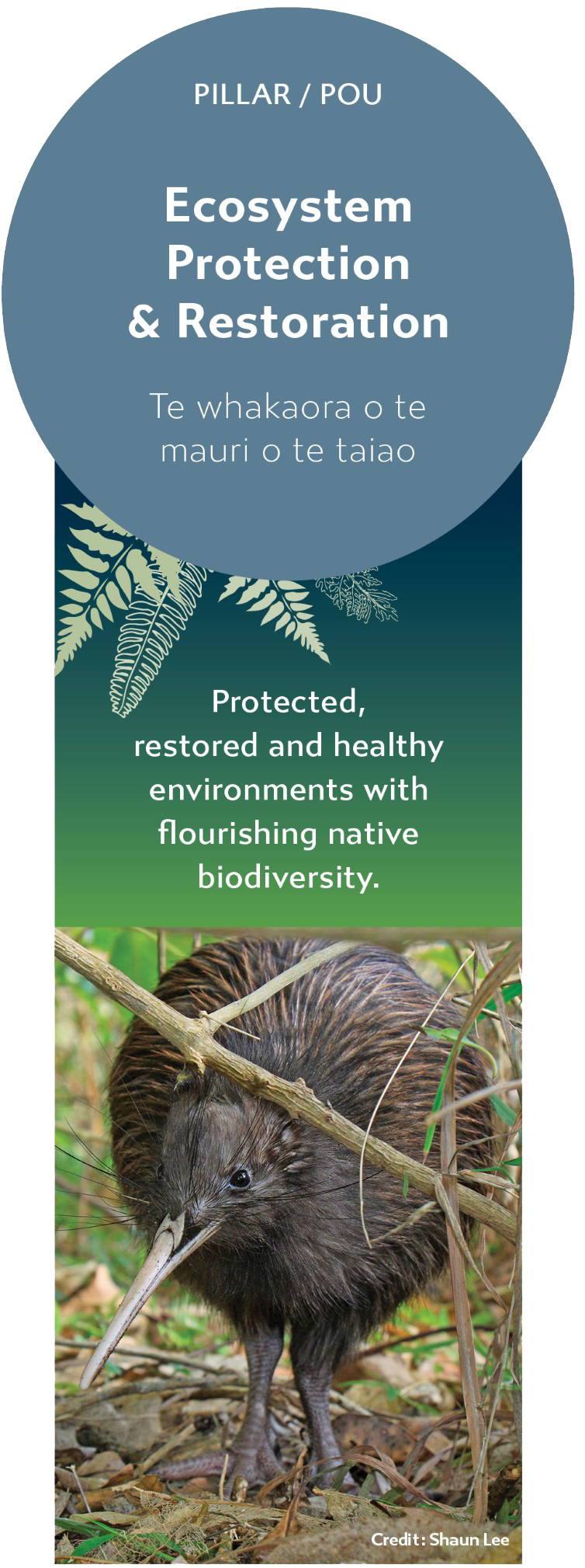 Ecosystem Protection & Restoration - Te whakaora o te mauri o te taiao: Protected, restored and healthy environments with flourishing native biodiversity.