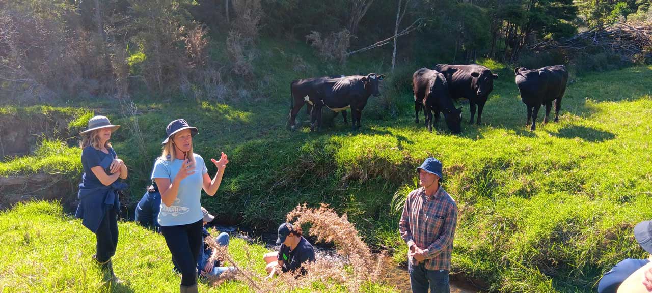 Wetlandworkshop - Rebbecca Eliver