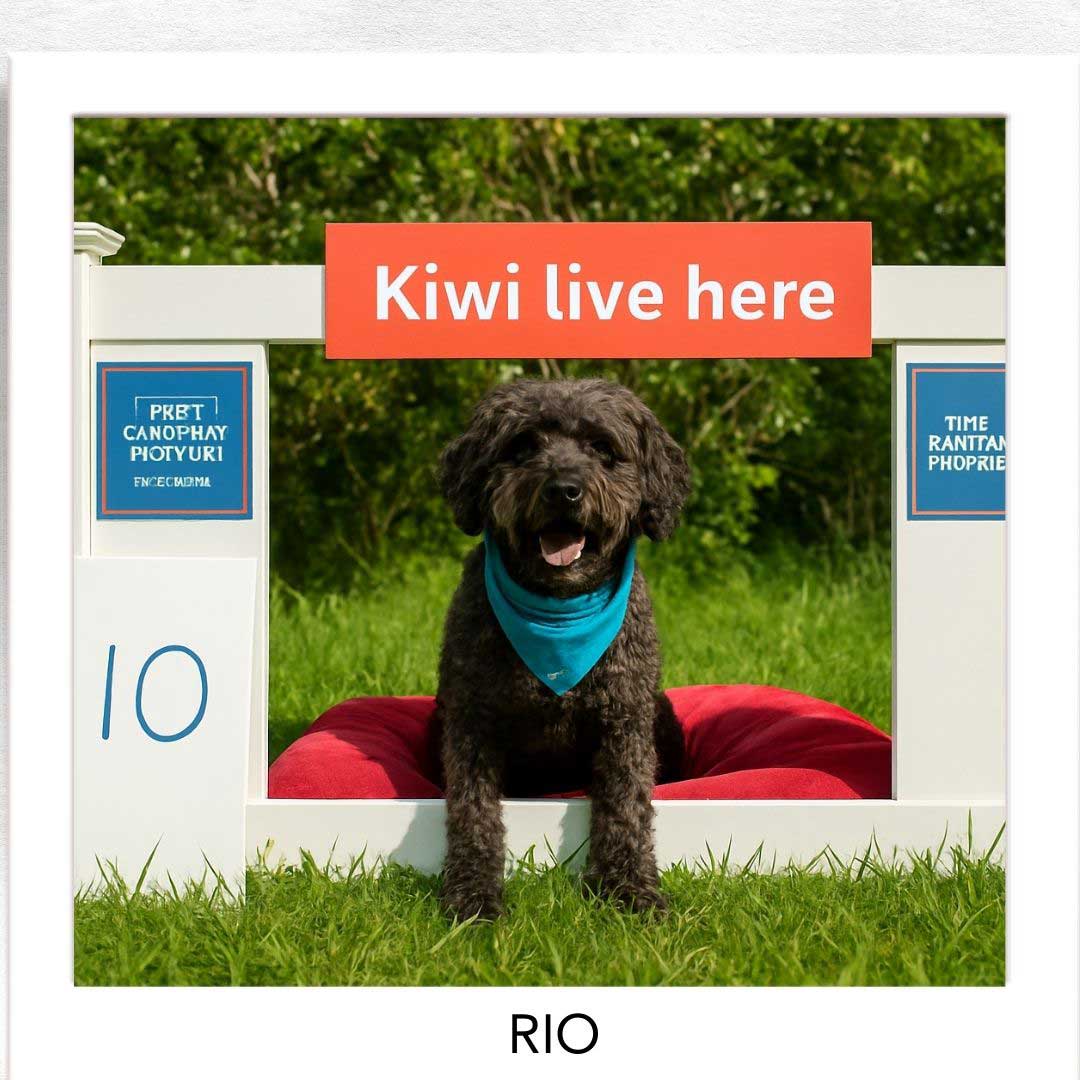 Kiwi Champion (Kiwi Avoidance Trained Dog