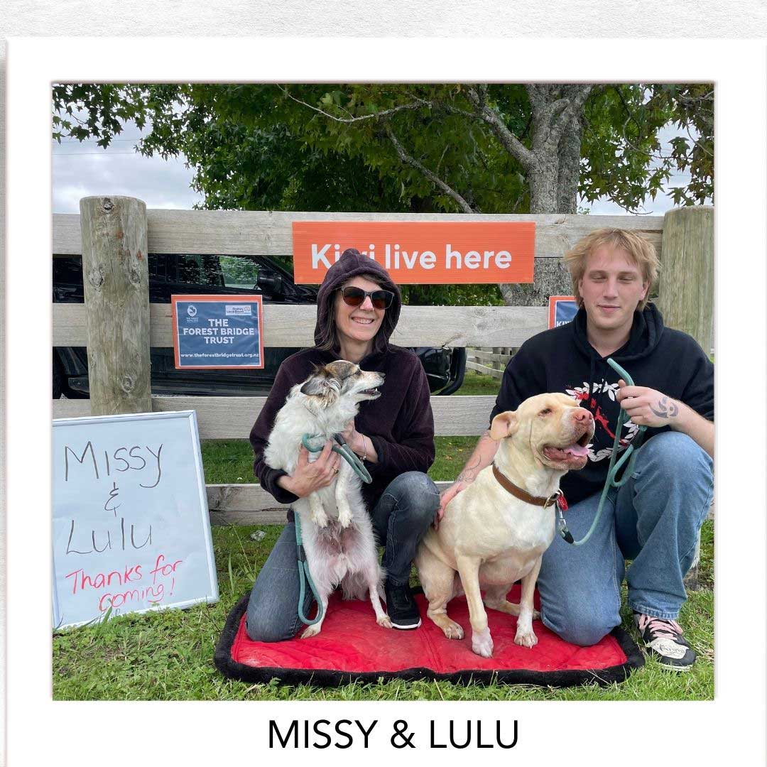 Kiwi Champion (Kiwi Avoidance Trained Dog