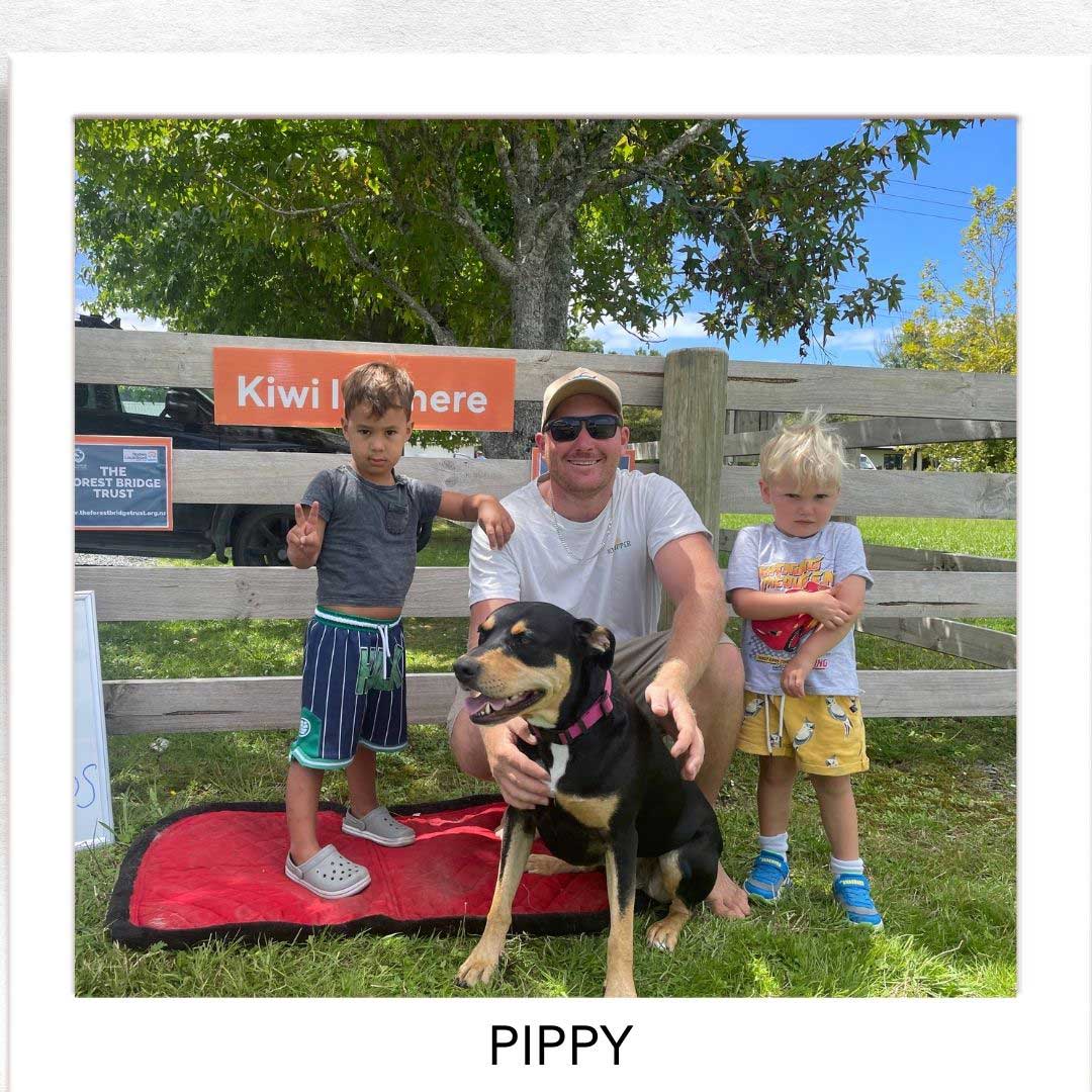 Kiwi Champion (Kiwi Avoidance Trained Dog