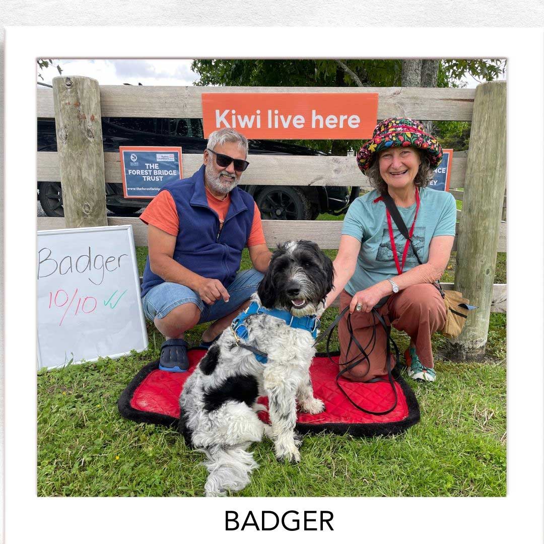 Kiwi Champion (Kiwi Avoidance Trained Dog