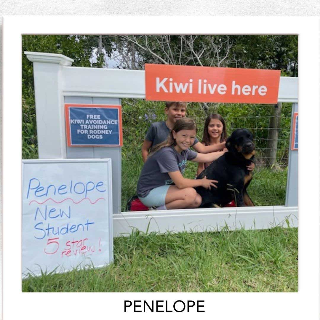 Kiwi Champion (Kiwi Avoidance Trained Dog