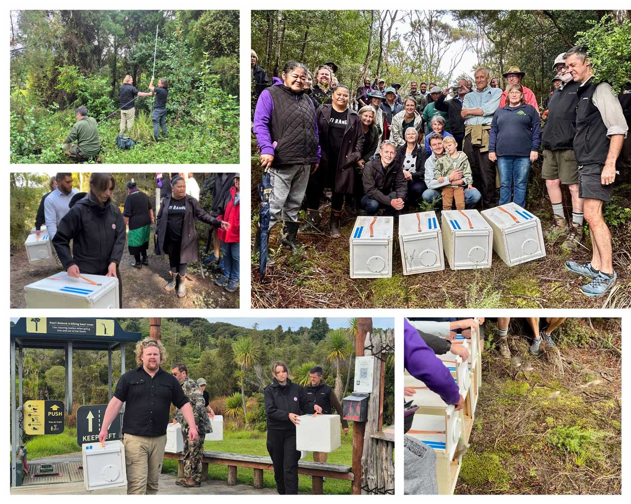 Popokotea Release in Mataia - May 2026