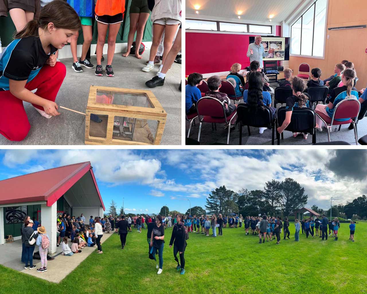 School Programme at Te Aroha Pa Marae - May-2026