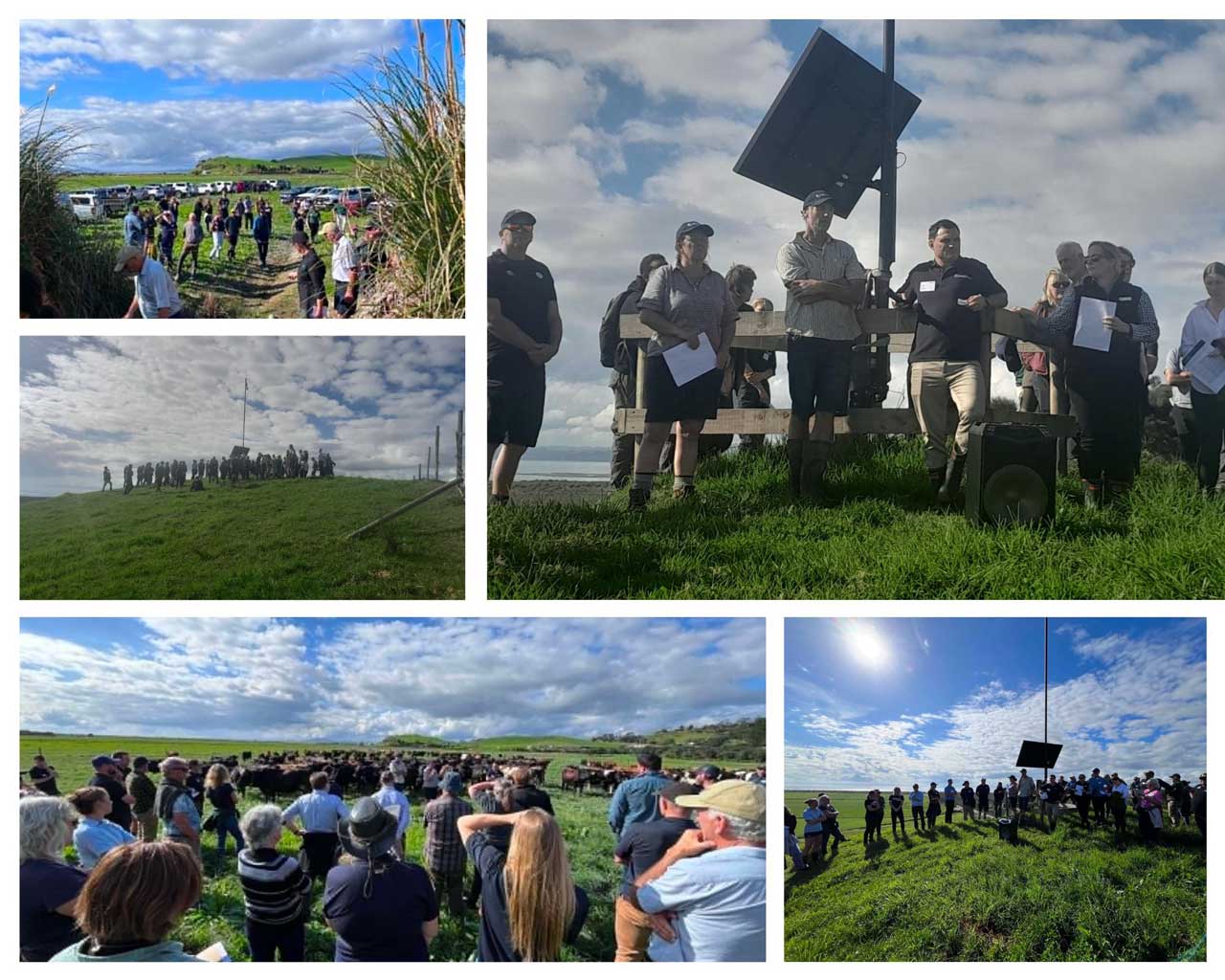 AKL Farm Enviro Awards