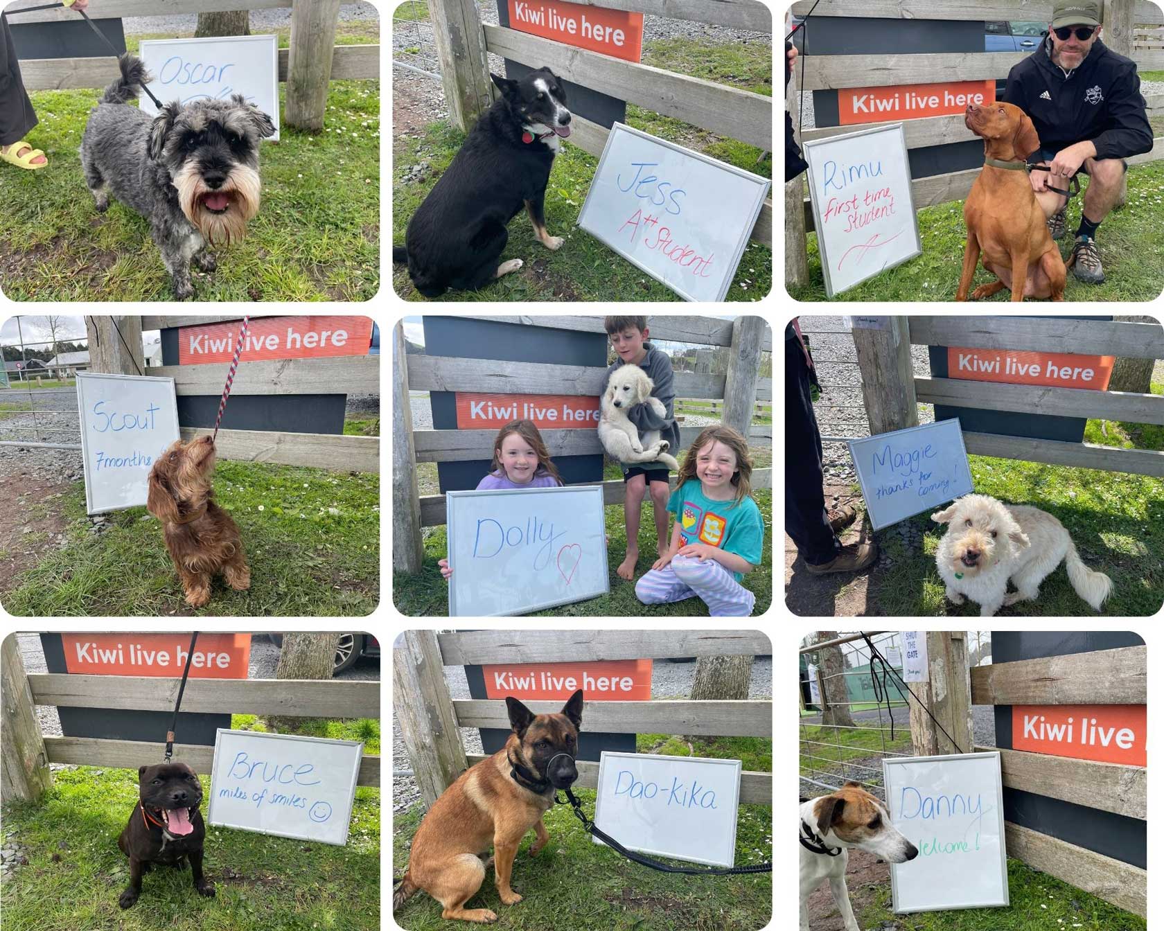 Dogs KAT-Trained on Sep 2026